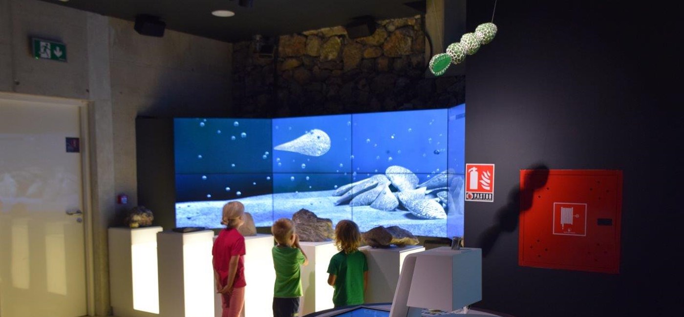 U Nacionalnom parku Sjeverni Velebit otvorena "Kuća Velebita"